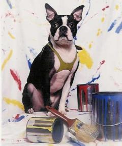 Rascal the artist
